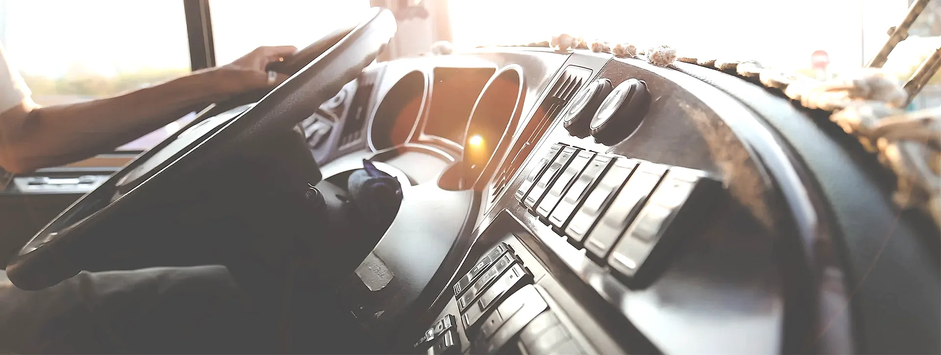 Uzman Ekip, Profesyonel Hizmet